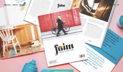 ⭐⭐⭐ Manu Lechat- Webdesigner, intégrateur, développeur Web freelance, design infographie