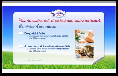 ⭐⭐⭐ Manu Lechat- Webdesigner, intégrateur, développeur Web freelance, book graphiste